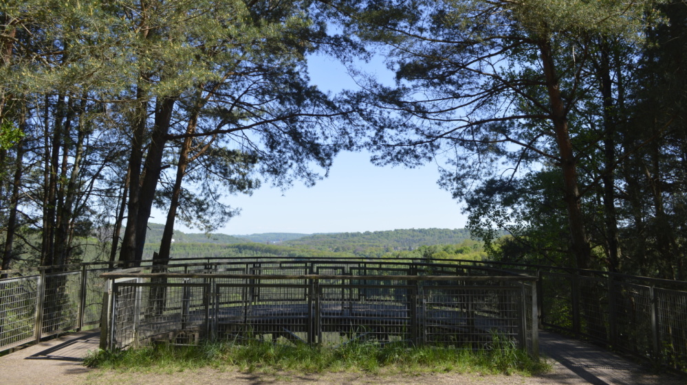 Carrière de L'Hôpital-Saint-Avold Blick zwischen Bäumen hindurch in ein Tal